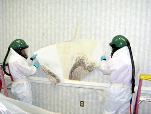 Mold remediation