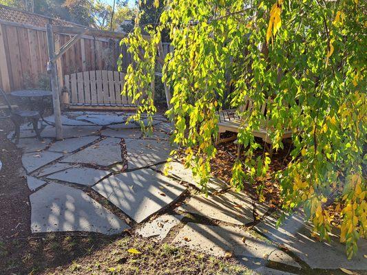 Flagstones back yard landscaping