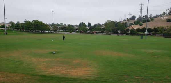 Soccer field freshly summer cut