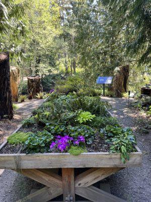 Table garden.. Wow!