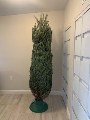 Firefighters Christmas Trees