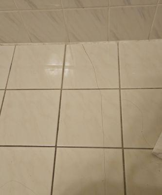 cracked floor in bathroom