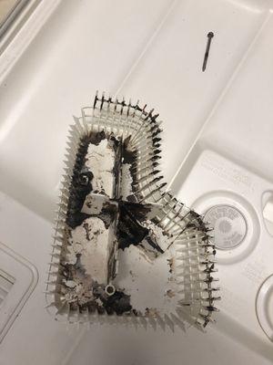 Dishwasher drain catch