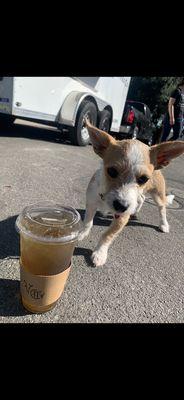 Green tea w/ the cutest model