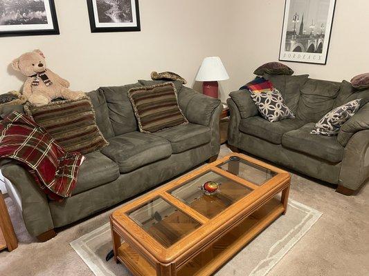 DIY Couch Cleaning