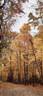 Tallman Mountain State Park