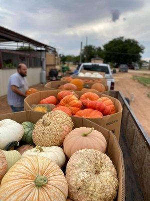 Fruit Tent Produce