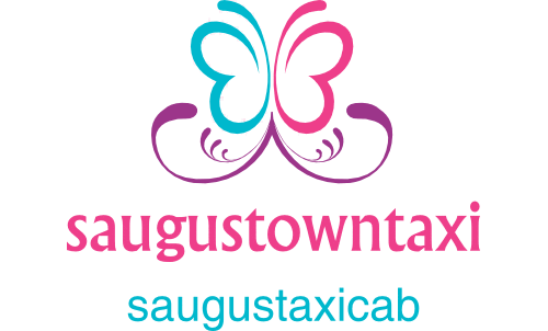 saugus taxi cab please call  617-669-8848  or  617-981-7591 thank you