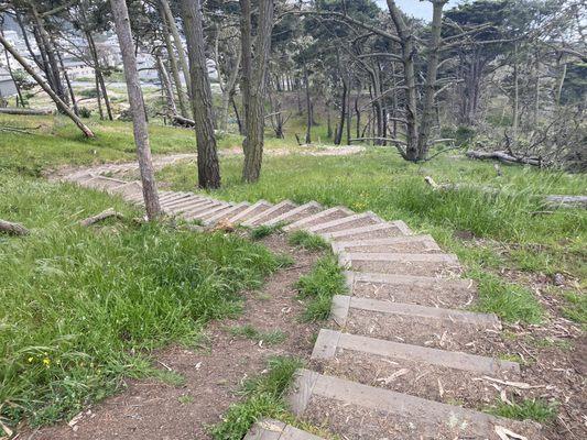 Connector trail to the Immigrant Point Overlook