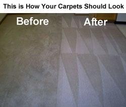 Carpet Cleaning Davis