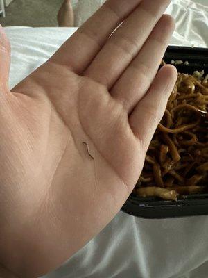 Combination Lo Mein with metal piece in it