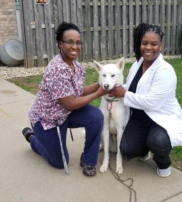 Dr. Croom and Vet Tech Toni with a beautiful pup patient!