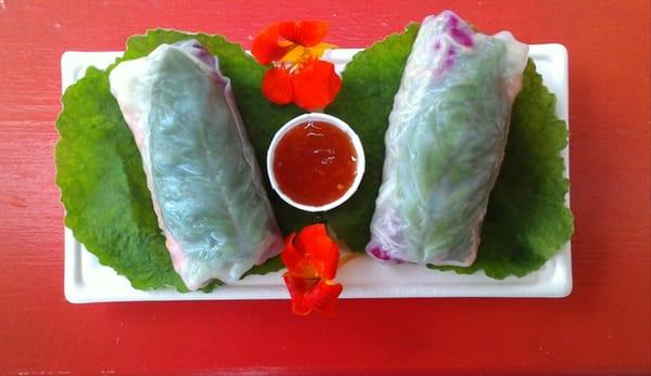 AhhhhMaZiNG "Sommer Rolls"! GF Vegan Rolls stuffed with local & organic Avocado, Beets, Carrots, Cucumber, Sprouts, Cilantro, & Sweet Basil