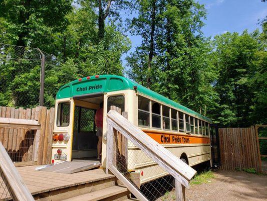 Chai Pride Bus at Binder Park Zoo