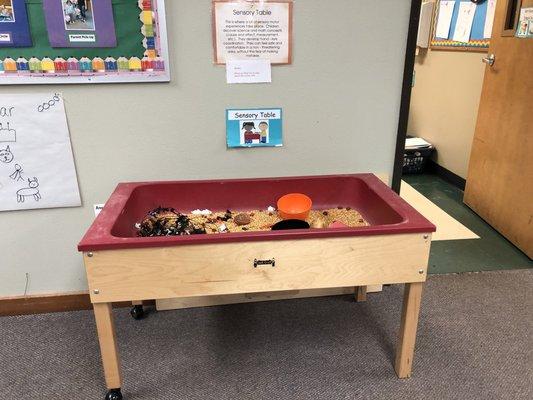 Sensory play which changes every few weeks based on what kiddos are learning about.