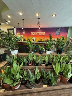 Plant shop