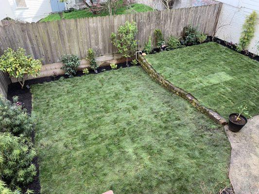 Finished yard