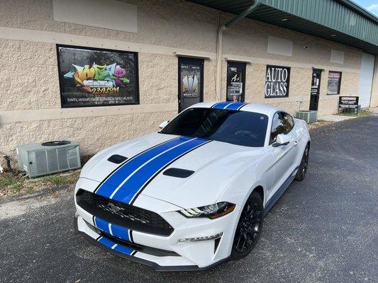 Mustang Racing Stripes