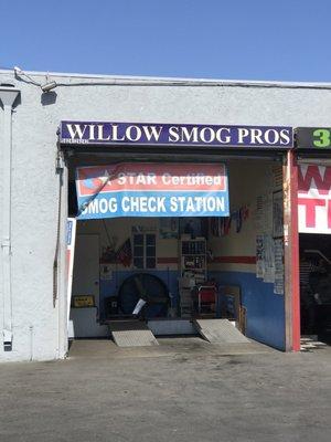 Willow Smog Pros