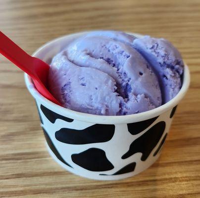 Single scoop of honey lavender ice cream. Tasty!