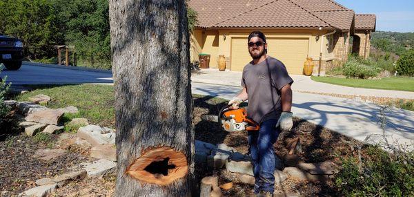 New Braunfels Tree Removal