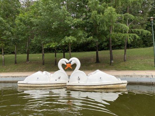 Swan boats