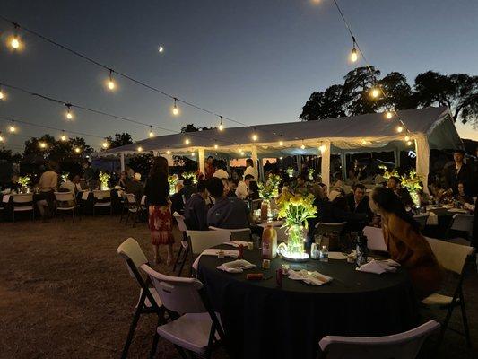 Tent and market lights made for a twinkly dance floor under the stars