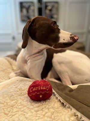 Cartiarf dog toy with Rogan