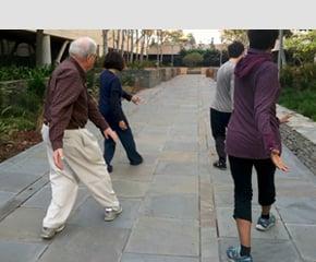 Be Like Water Tai Chi,  Colorado center's group performing Old Yang Style Long Form Tai Chi