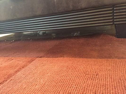 Under sofa area that was supposedly cleaned, vacuumed and mopped. Wow!!