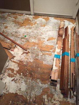 Hardwood Floor Demo