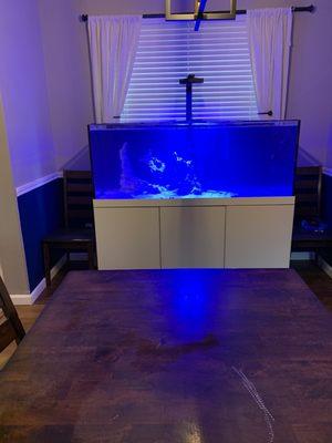 200 gallon pro star reef tank.