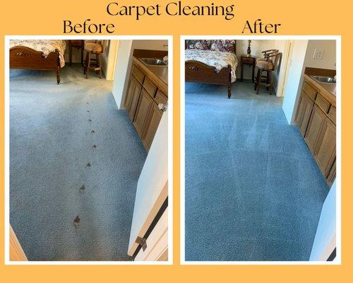 Carpet Cleaning Before and After