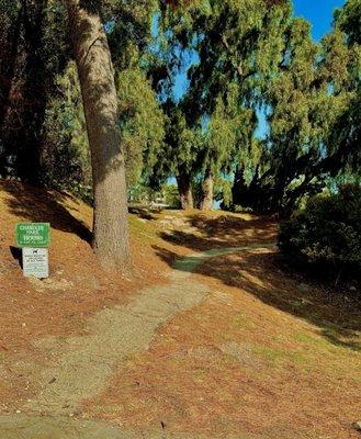 The path to Chandler Park, right next to City Hall parking lot.