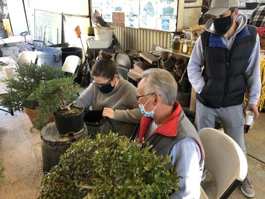 Bonsai Classes at Fuji Bonsai in Sylmar, Ca. every Thursday and Saturdays starting at 9am.