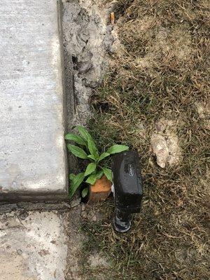 They "repaired" a sidewalk segment and left debris and clumps of concrete & mud all over my yard, including cigarette butts and wood