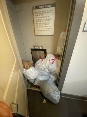 Overflowing trash which is extremely common and the hallway constantly stinks.