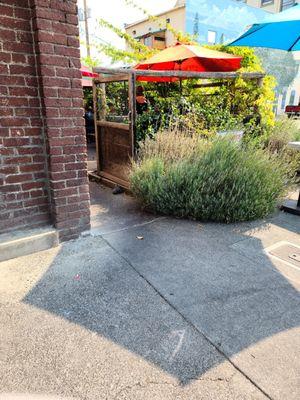 Patio to sit next to restaurant front