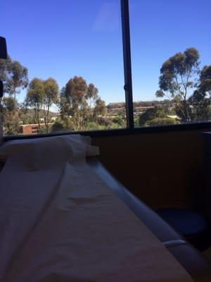 Exam room with a view