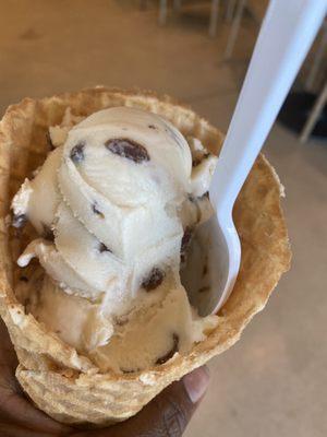 Rum Raisin Ice Cream