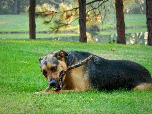 Cooper taking a break