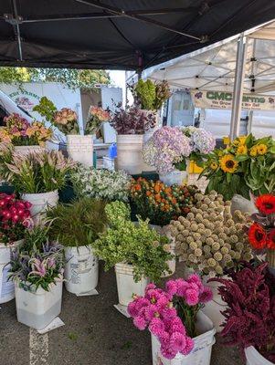 Saratoga Farmers' Market