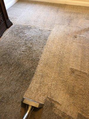 During carpet cleaning