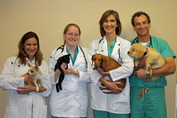 Central Broward Animal Hospital