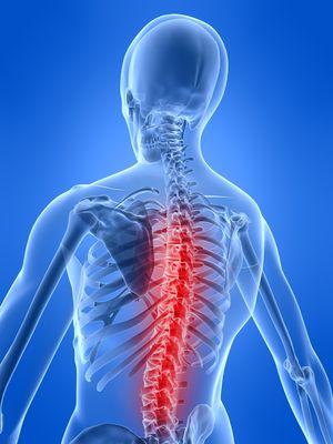 Align Your Spine and Turn On Your Power at Zimmerman Chiropractic!