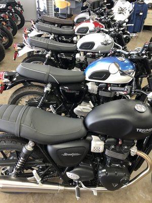 Stop by and see a wide variety of Triumph T100s and T120s