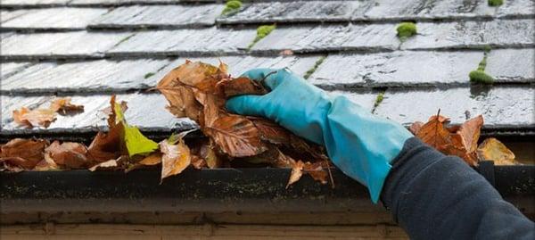 Gutter Cleaning