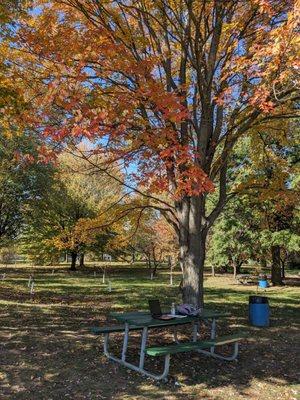 I know a lot of case managers who use the park because of its picnic tables.