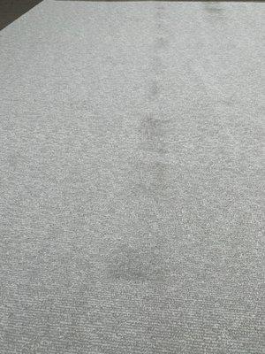 Damaged/Stained Carpet