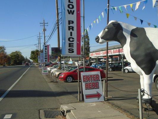 We have the giant COW out front .... You can't miss us. Home of the "No Bull"